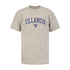 Youth Villanova Wildcats Arched Wordmark Logo T-Shirt in Gray - Front View